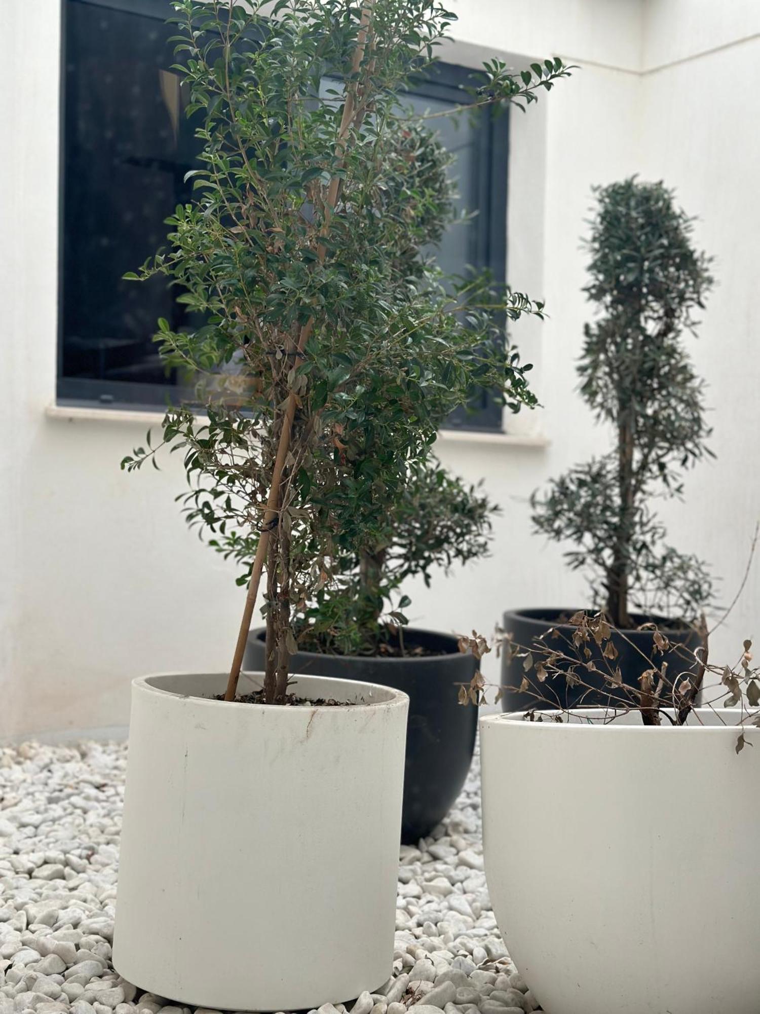 Hostel Alicante A-Cero Living Dış mekan fotoğraf