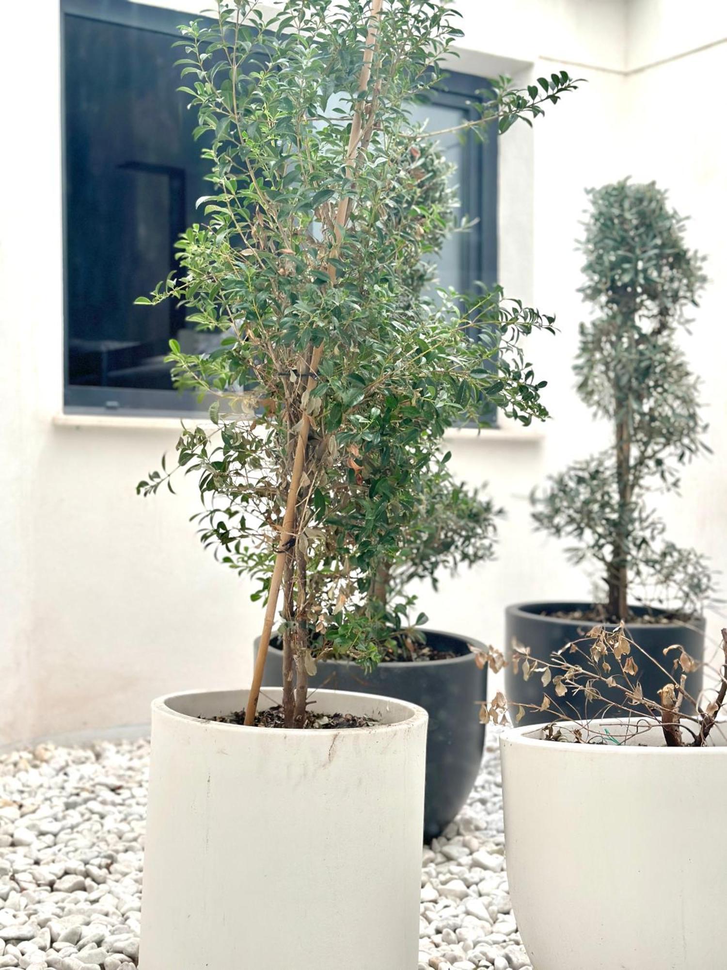Hostel Alicante A-Cero Living Dış mekan fotoğraf